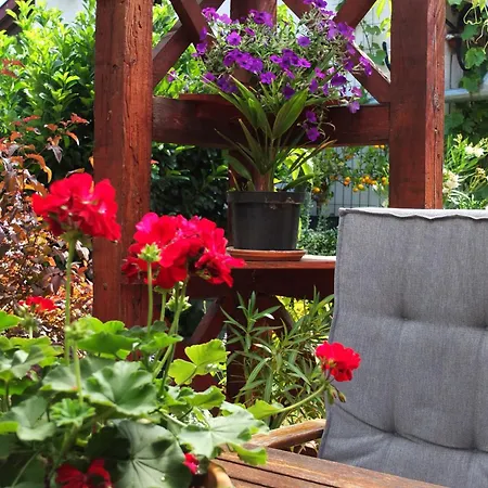 Muskatli Vendeghaz Appartement Szeged